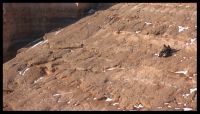 canyon2
