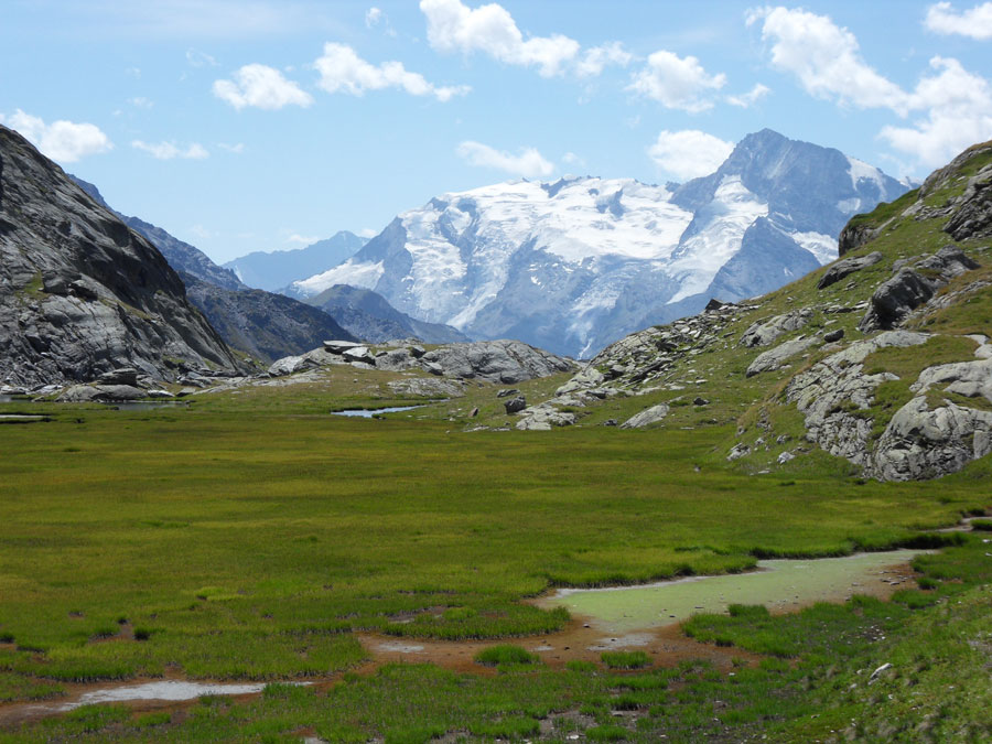 glaciers du Mont Pourri