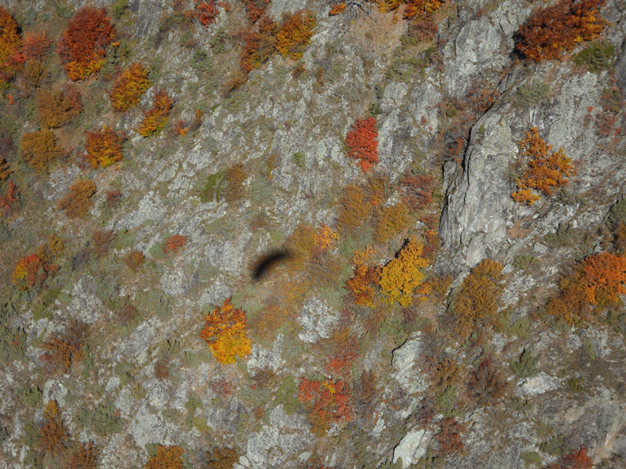 Parapente et couleurs du Valgaudemar en automne