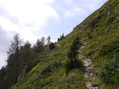 Encore un peu de belle marche