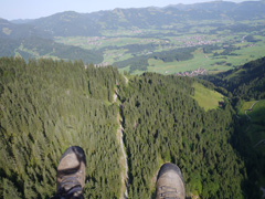 au-dessus de la forêt
