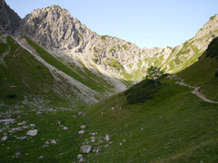 vaches dans le vallon