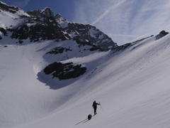 juste sous le col