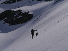 juste sous le col