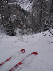 ça ski bien