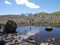 waterline
