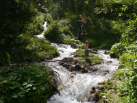 slackline torrent