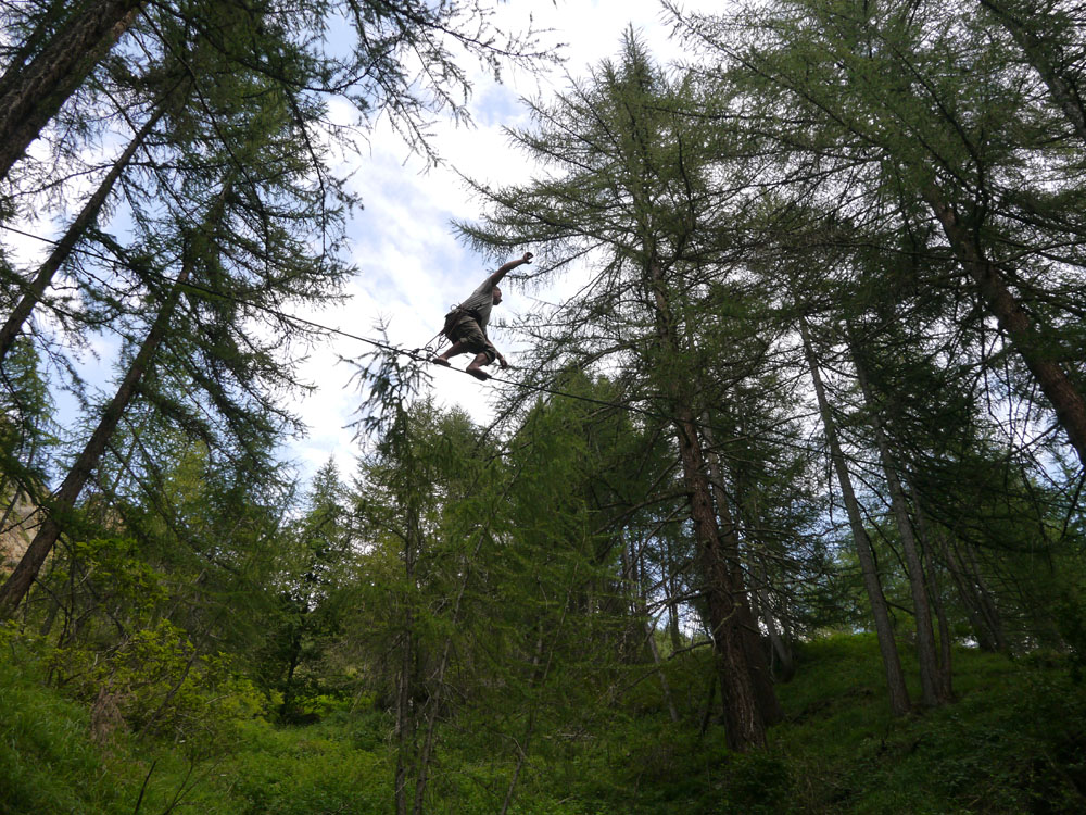 treeline
