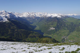 du sommet, vue vers le SO