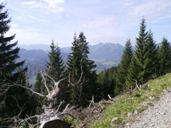 en sortant de la forêt