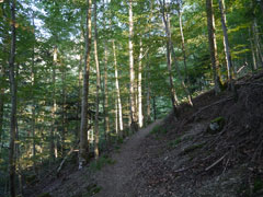 Schwarzwald