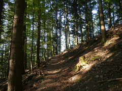 Schwarzwald