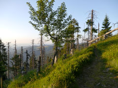 Schwarzwald