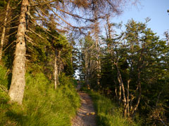 Schwarzwald