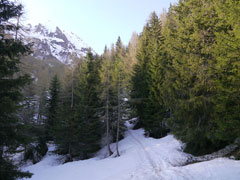 début de la neige et du ski