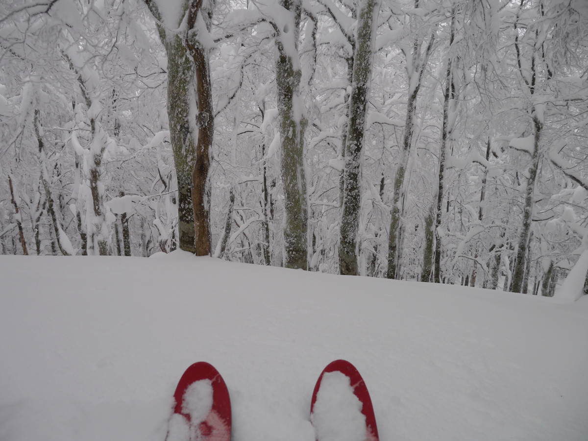 ski rando