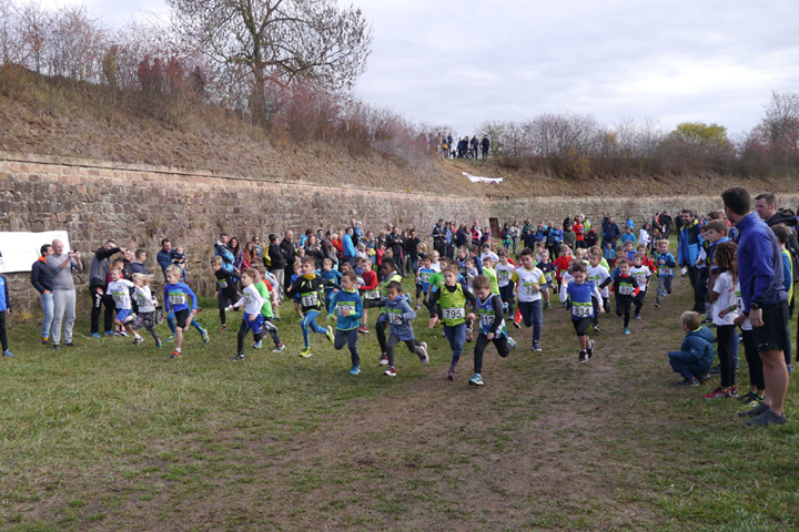 Cross des remparts Neuf-Brisach
