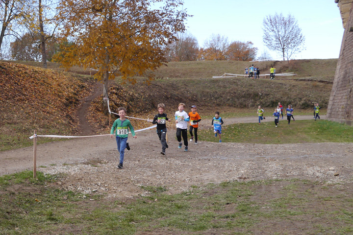 Cross des remparts Neuf-Brisach