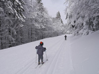 ski Vosges