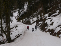 ski Vosges