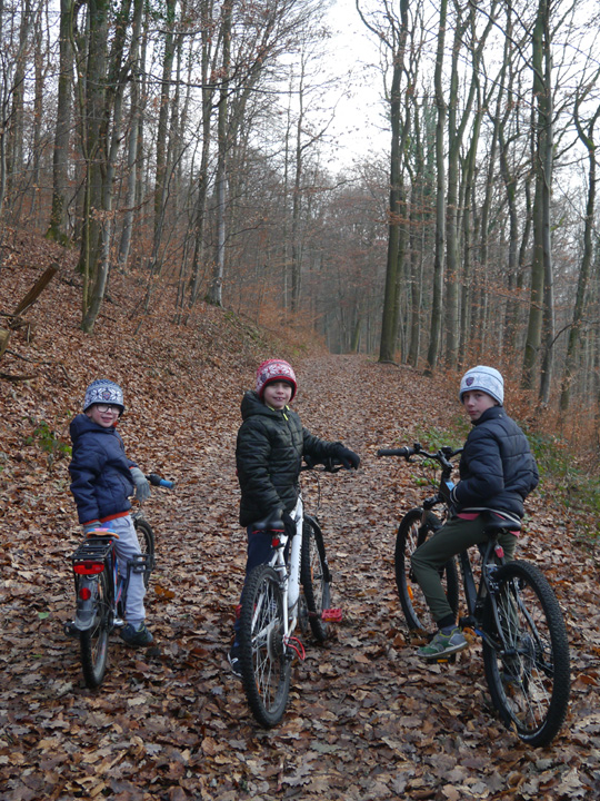 vélo Kaiserstuhl