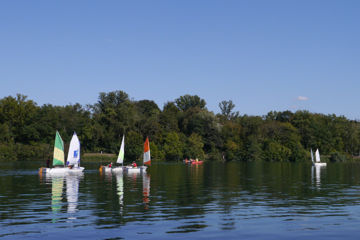 régate Optimist Rhin