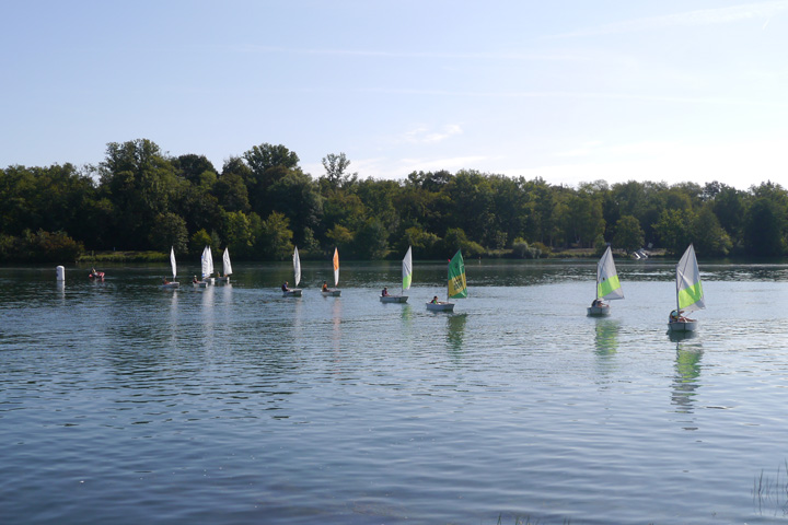 régate Optimist Rhin
