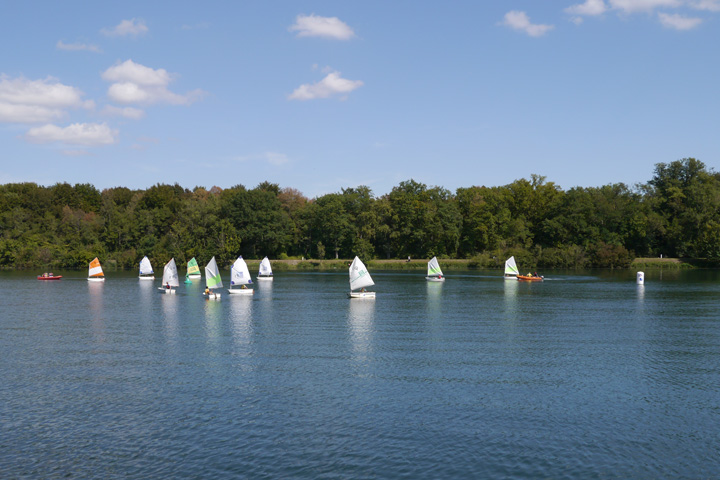 régate Optimist Rhin