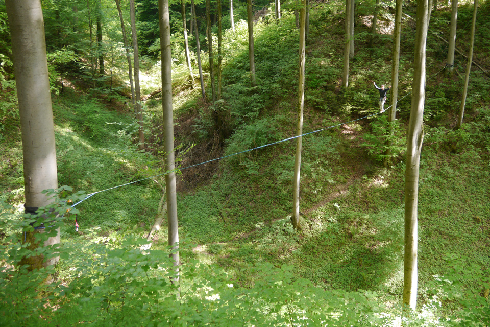 Treeline !