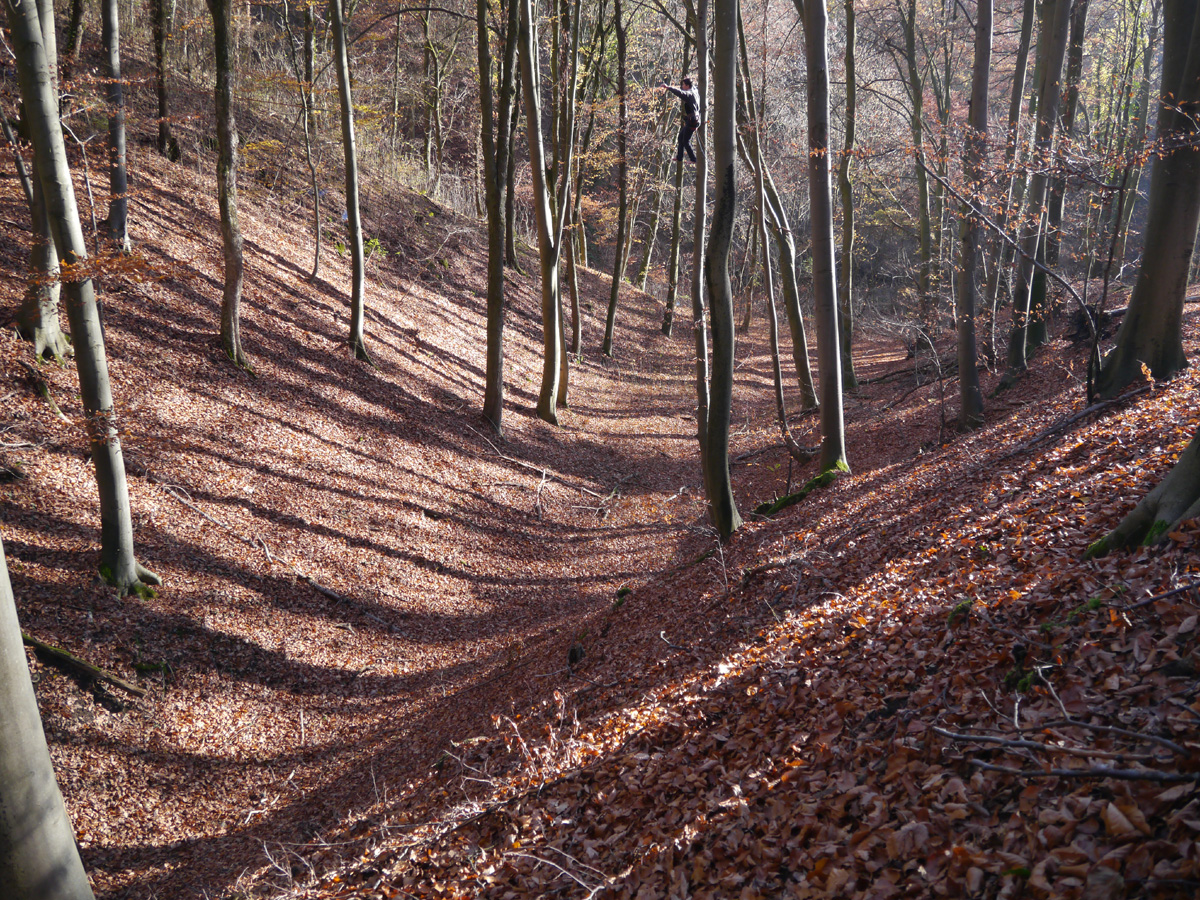 slackline treeline