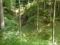 treeline Altötting - Neuötting