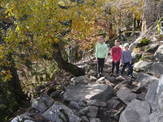 Sentier des Roches, Vosges