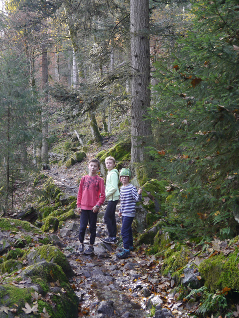 Sentier des Roches, Vosges