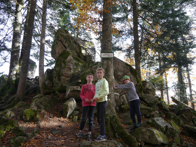 Krappenfels