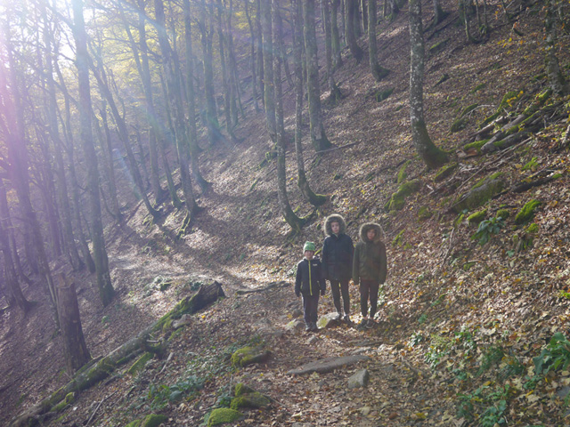 Sentier des Roches, Vosges