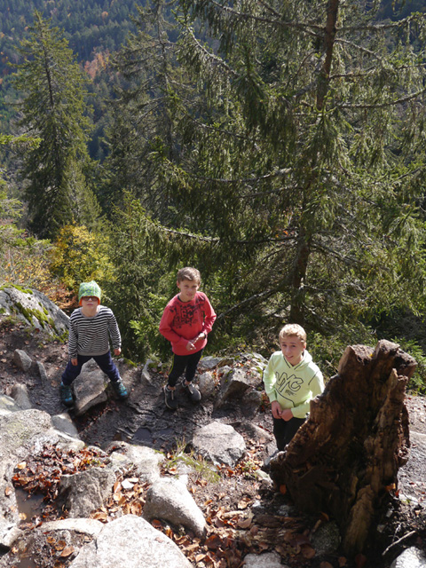 Sentier des Roches, Vosges