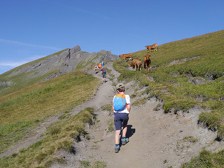 Rando Pointe de Lancebranlette