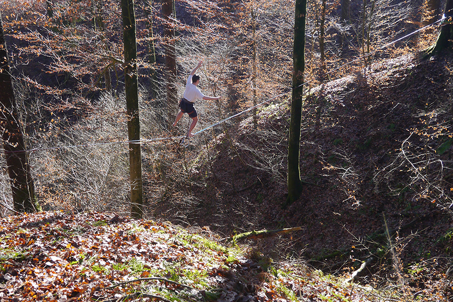 slackline / treeline
