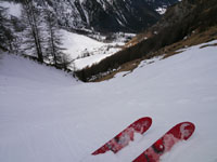 rando ski