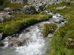 torrent montagne