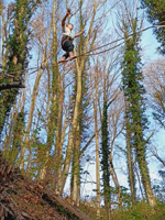 slackline - treeline