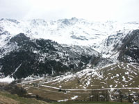 Pépin