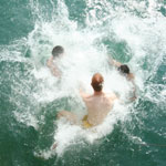 plongeon