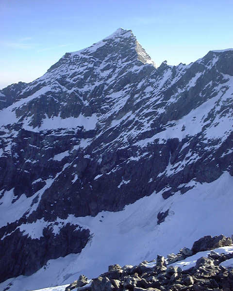 Mont Pourri.